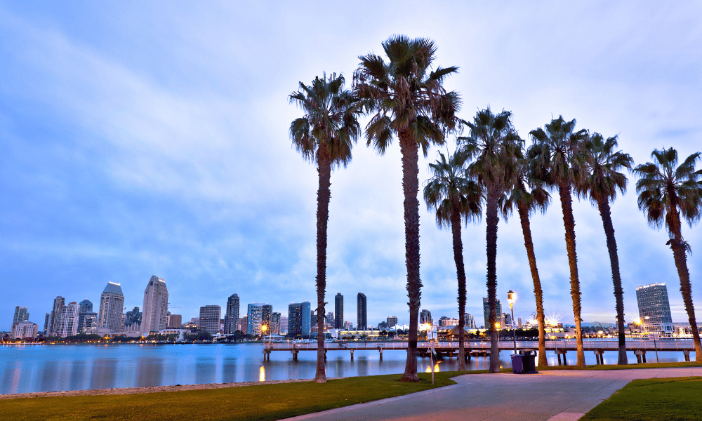 Winter FancyFaire January 2026 san diego beach