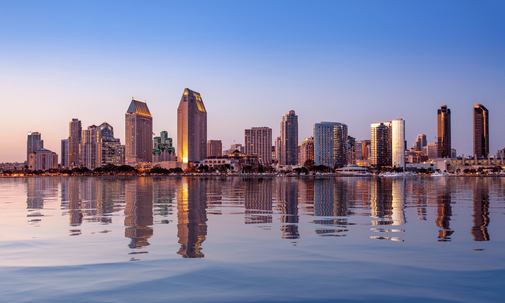 Winter FancyFaire January 2026 San Diego Skyline